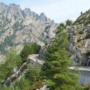 Stage Corse